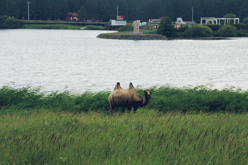 海南旅游住宿攻略 海南旅游住哪里好