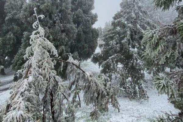 重庆有雪的景区 玩雪的地方有哪些