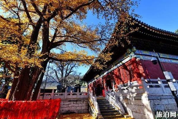 2020北京春节各大寺庙祈福求什么最灵