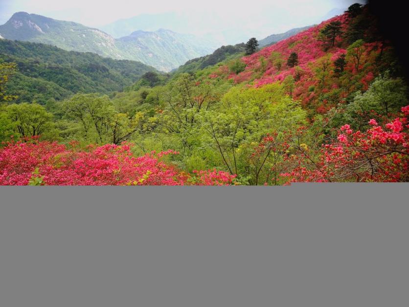 龟峰山风景区好玩吗 龟峰山旅游攻略