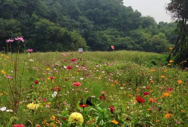 武汉有爬山的地方吗 爬山去哪里比较好