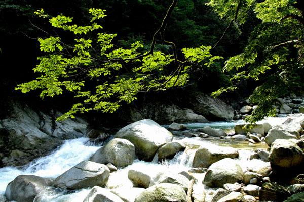 株洲爬山去哪里比较好 九大爬山景点推荐