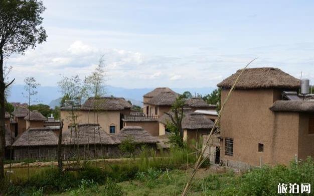 云南元阳梯田旅游攻略