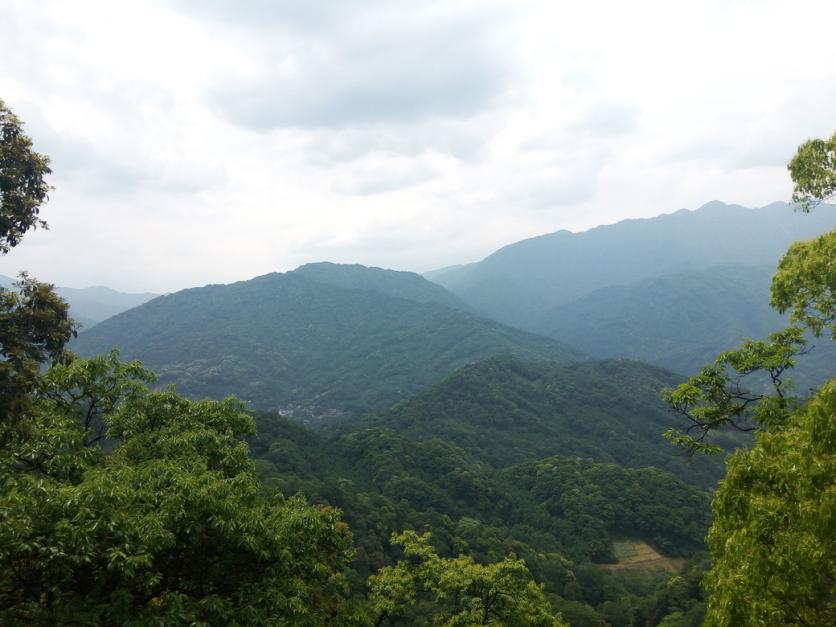 青城山好玩吗 青城山自驾一日游攻略