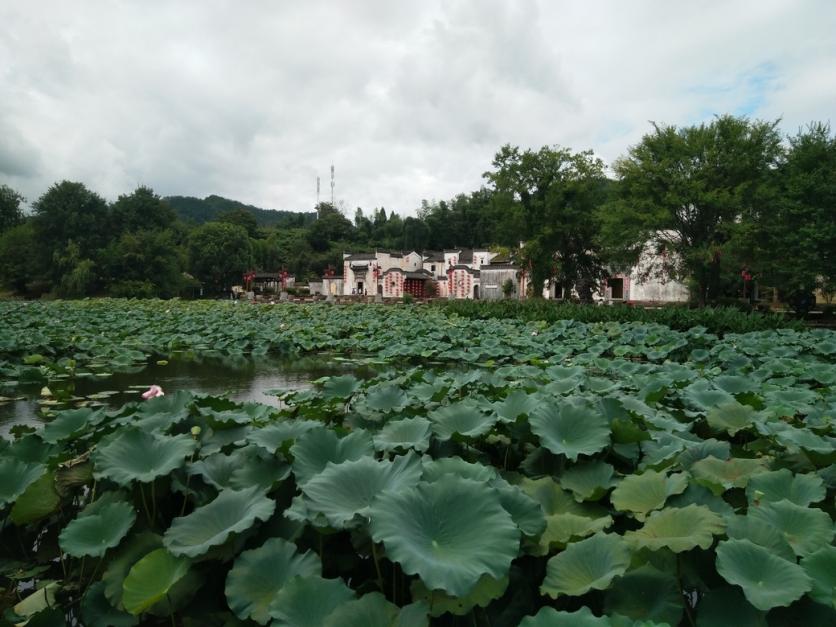 黄山呈坎古镇门票价格多少钱