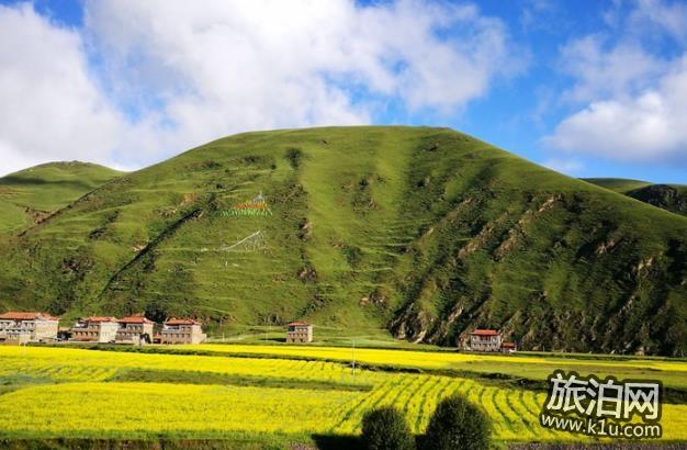 祝桑草原旅游攻略+景点大全