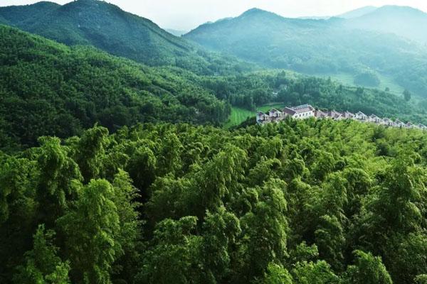 洛阳王府竹海好玩吗 有哪些旅游景点