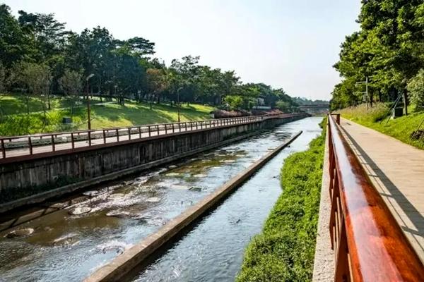 深圳春季去哪里踏青 深圳周末踏青好去处