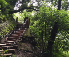 青城山的介绍  青城山风景区的历史 都江堰青城山一日游攻略 