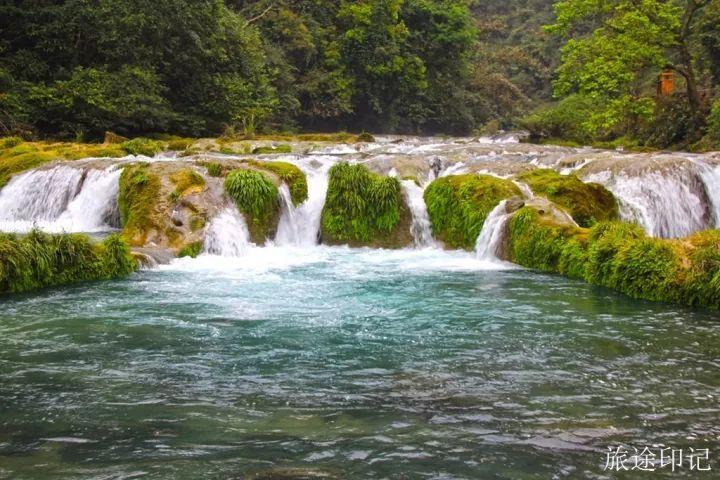 水上森林在哪 水上森林攻略