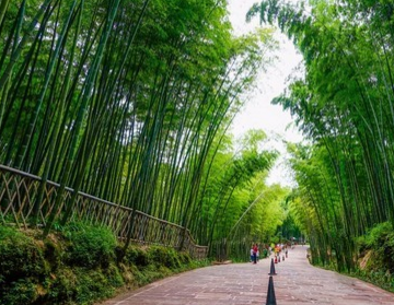 蜀南竹海门票是多少   蜀南竹海几月去最好