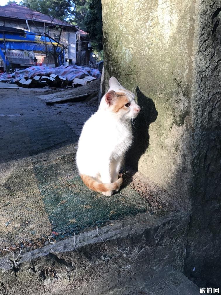 庐山自驾游还需要买观光车票吗