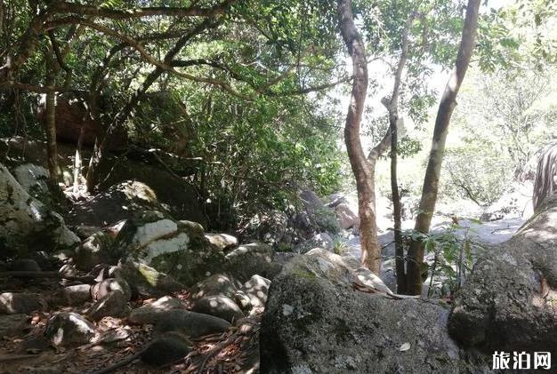 马峦山徒步登山一日游攻略