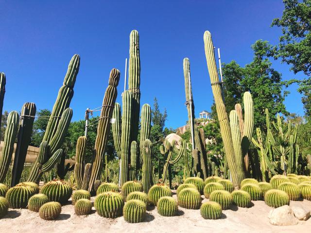 厦门植物园好玩吗 厦门植物园学生门票多少钱