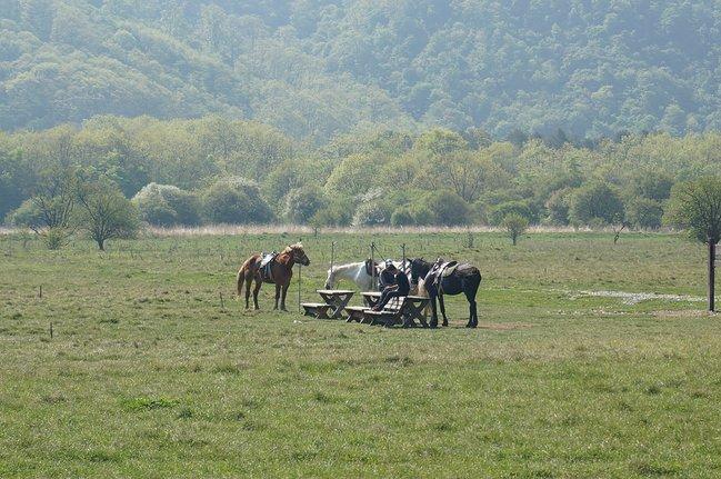 神农架有什么好玩的地方 神农架有野人吗