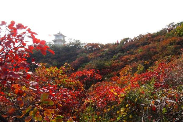 北京赏红叶十大绝佳去处