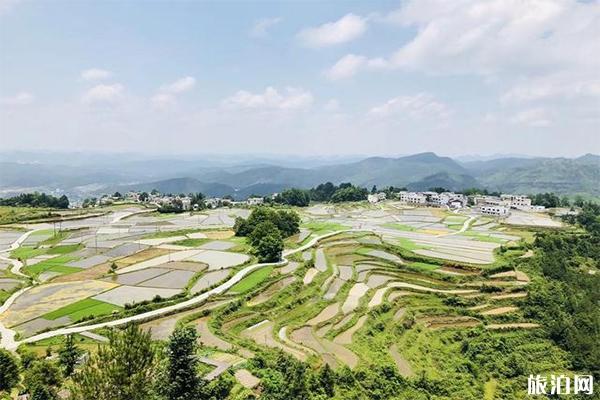 高坡云顶草原简介 高坡云顶草原门票多少