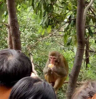 张家界6月旅游攻略