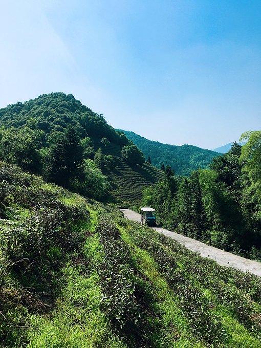 莫干山有什么好玩的 莫干山有哪些旅游景点