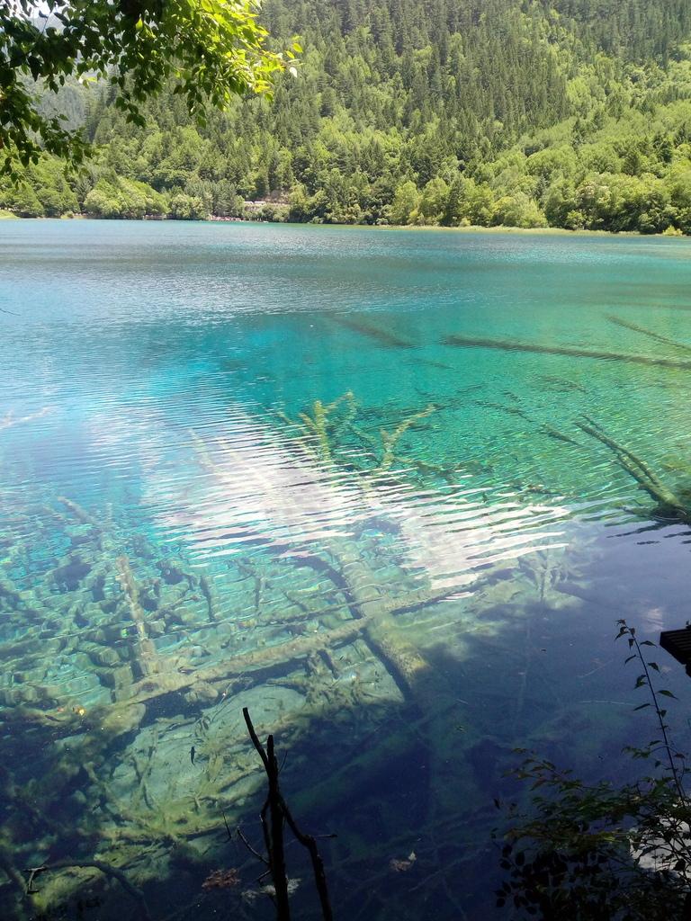 九寨沟8月份去好吗 九寨沟8月旅游攻略