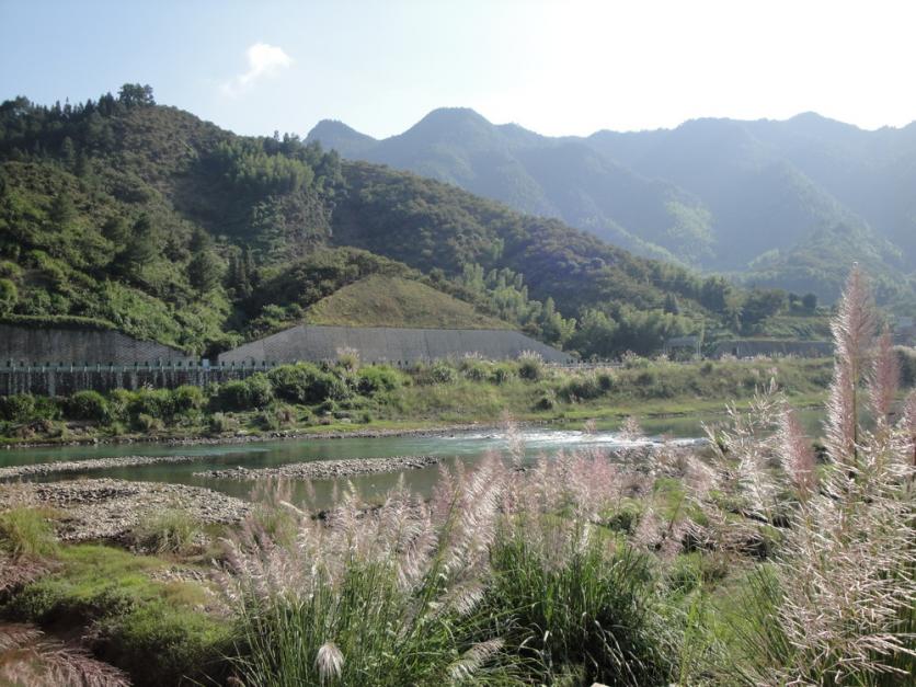 丽水龙泉市小梅镇金村旅游攻略