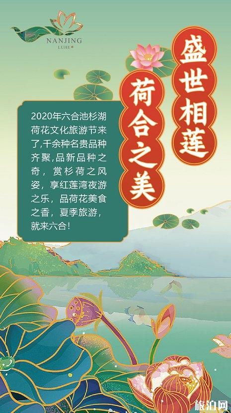 南京池杉湖湿地公园门票 荷花展信息2020