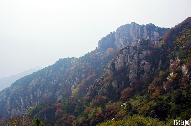 泰山住宿哪里比较好