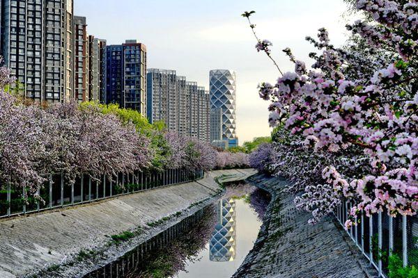 上海崇明三星镇吃住玩全攻略