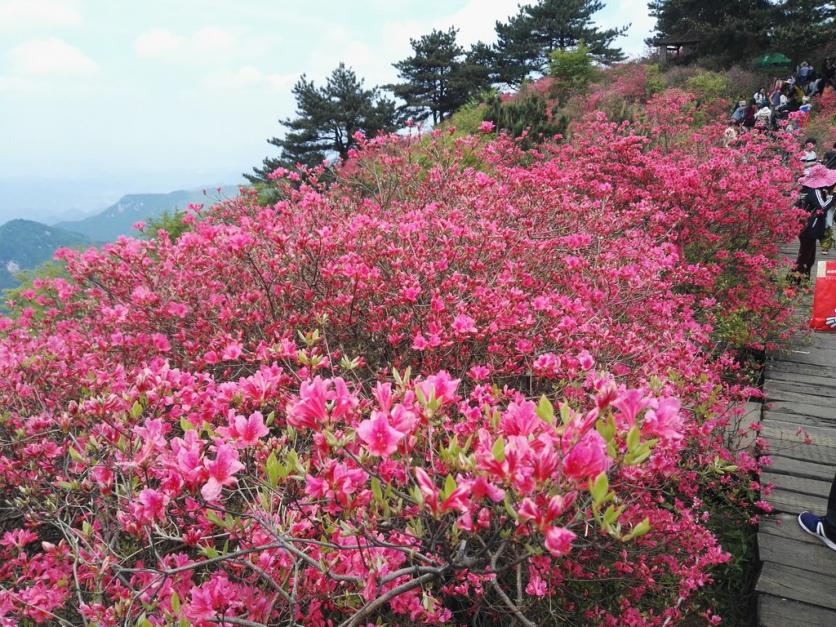 龟峰山风景区好玩吗 龟峰山旅游攻略