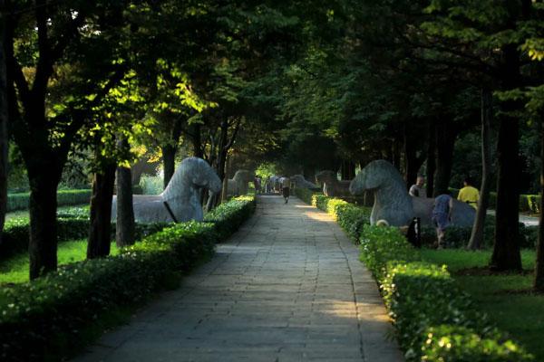 南京钟山风景区有什么好玩的地方 必去景点推荐