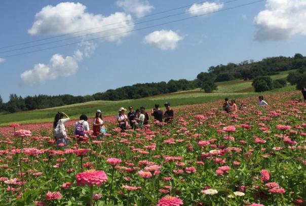 长沙岳麓区适合露营的地方