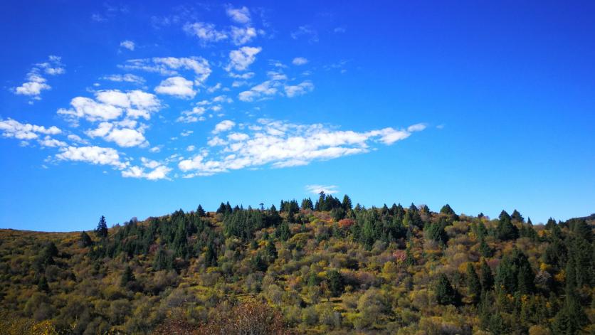 四川阿坝州旅游攻略