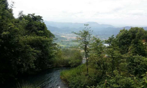 白水寨怎么去 白水寨在哪里 白水寨旅游攻略