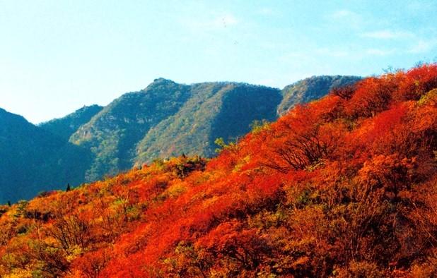 四川米亚罗自驾游线路推荐