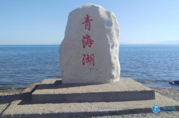 青海湖一日游攻略 青海湖一日游游记