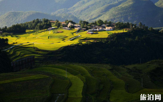 去贵州住哪里好玩 贵州住宿攻略