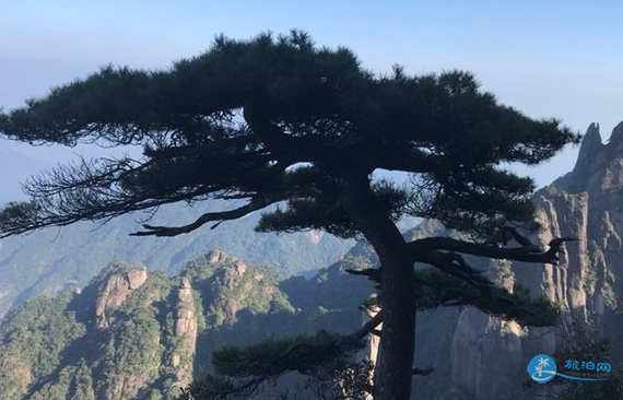 去三清山住哪里好 去三清山玩晚上住哪里