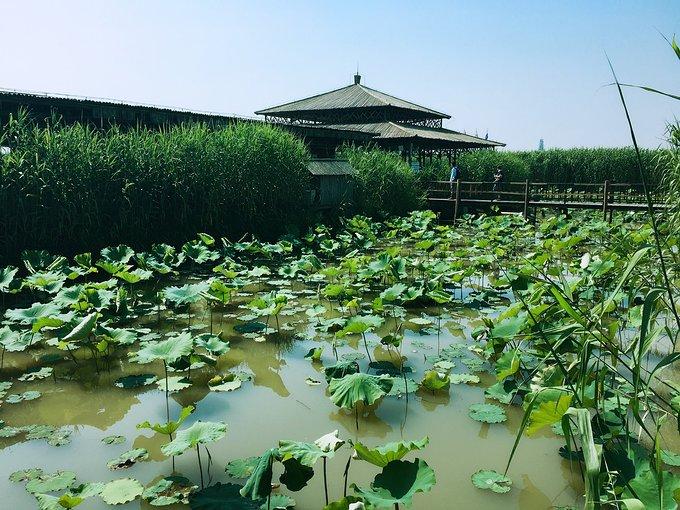 莫干山有什么好玩的 莫干山有哪些旅游景点