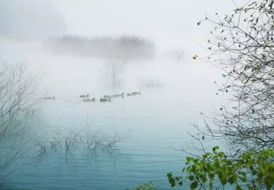 天鹅湖湿地公园门票是多少   天鹅湖湿地公园在哪里