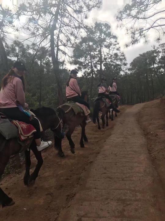 云南有哪些旅游景点 云南旅游最佳线路