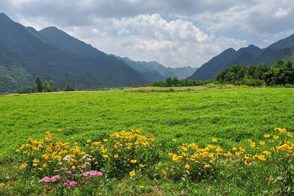 重庆夏季露营基地推荐 15个避暑最佳露营地