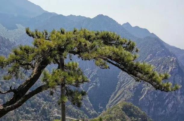 中国旅游登山景点 热门山岳景区