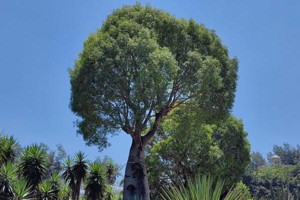 万石植物公园在厦门哪里啊