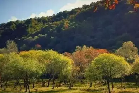 陕西宝鸡大水川怎么样  陕西宝鸡大水川的景色好看吗