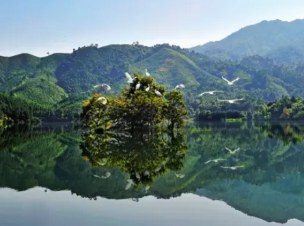 天鹅湖湿地公园门票是多少   天鹅湖湿地公园在哪里