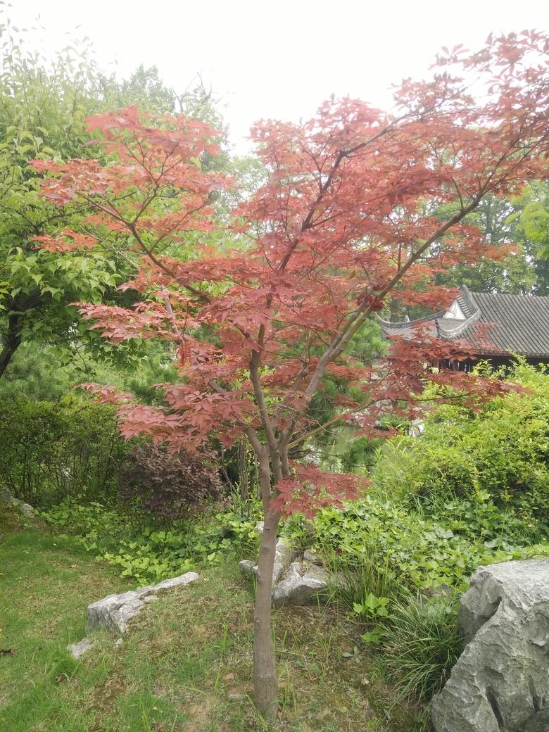 采石矶风景区门票价格 采石矶风景区好玩吗