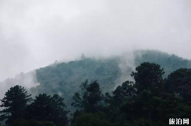 人为什么喜欢登山呢