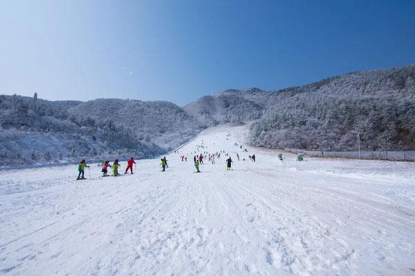 阿勒泰有哪些滑雪场 五大必去滑雪场介绍