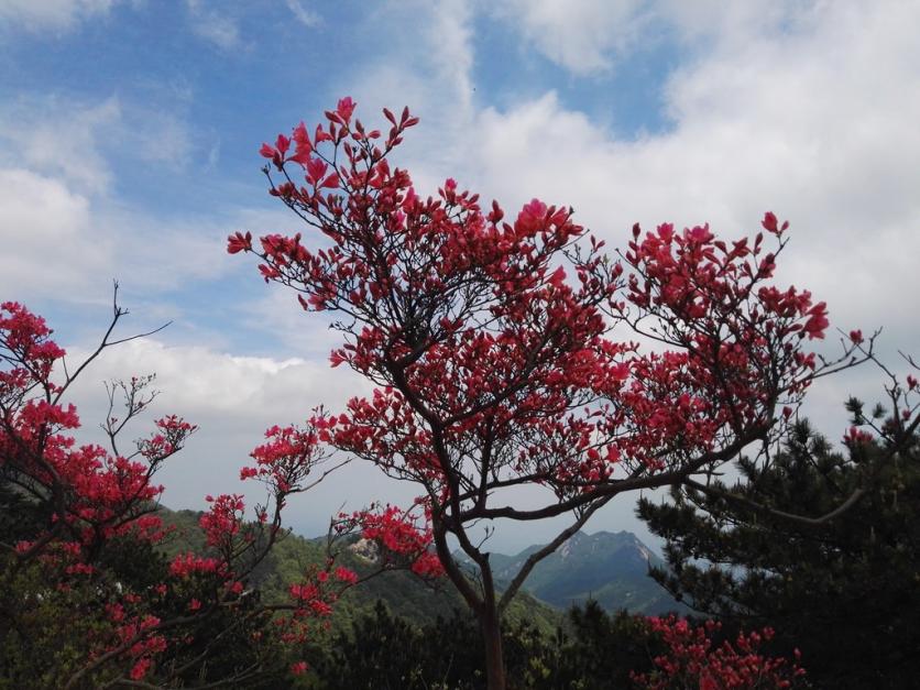 龟峰山风景区好玩吗 龟峰山旅游攻略