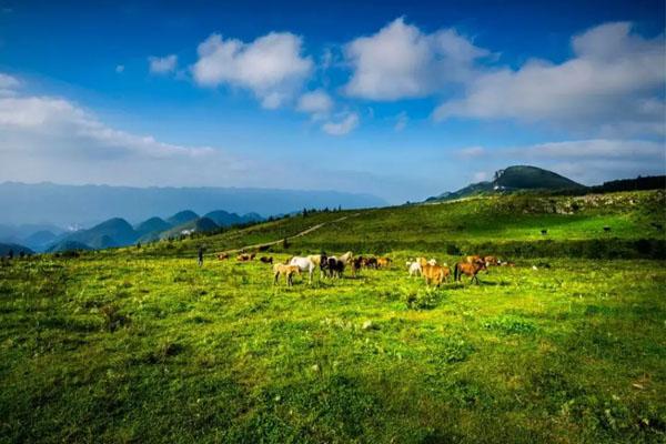 重庆夏季八大自驾游避暑胜地